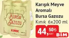 KINIK KARIŞIK MEYVE AROMALI BURSA GAZOZU 6X200 ML fiyat ve kampanya bilgisi